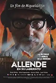 Allende en su laberinto (2014)