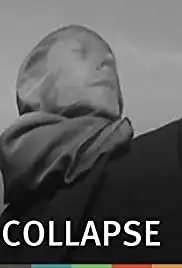 Collapse (2013)