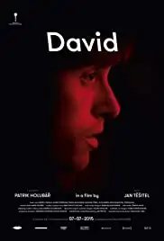 David (2015)