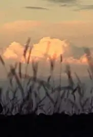 Folklore's Intimates (2015)