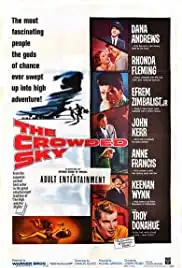 The Crowded Sky (1960)