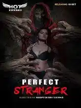 Perfect Stranger (2020)