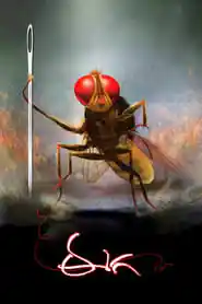 Makkhi (Eega (2012)