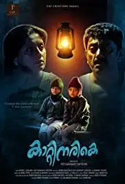 Kaatinarike (2021)